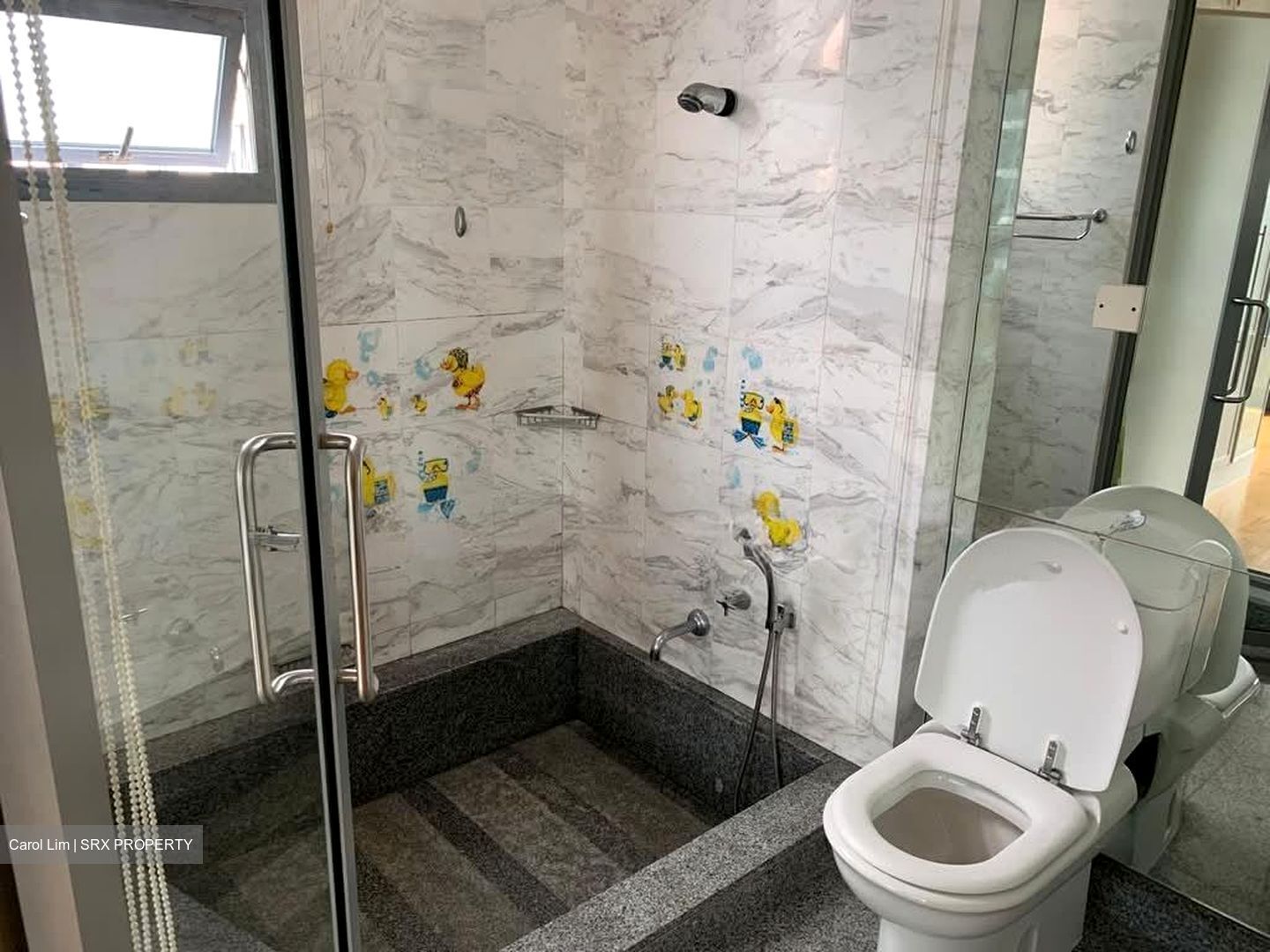 Water Place (D15), Condominium #555438891